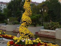 上海菊花造型：潍坊口碑好的菊花造型找哪家