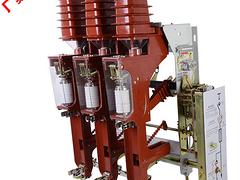 温州口碑好的高压断路器ZN63A(VS1)-12哪里买：固定式断路器ZN63A(VS1)-12