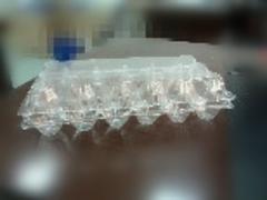梅州鸡蛋托盘_深圳有品质的塑料皮蛋盒包装推荐