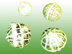 河北多孔球型悬浮填料：山东价格合理的多孔球型悬浮填料