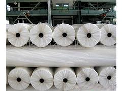 潍坊哪里有提供物超所值的长丝聚酯胎——涤纶布厂家