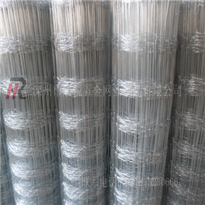 供应内蒙古用铁丝网。