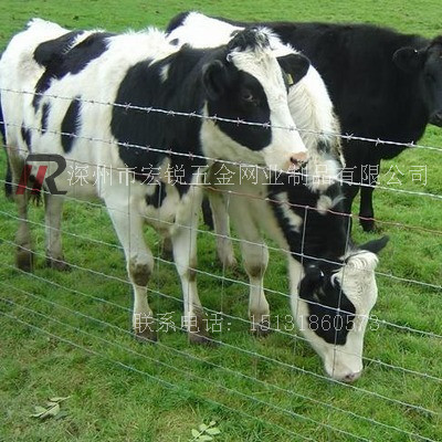 养牛网围栏，养殖围栏网市场价格。