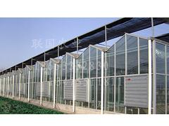各种拱棚建造_联国专业提供蔬菜温室大棚建造