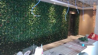 泰州植物墙|泰州植物墙绿化公司|泰州植物墙哪家好【优质推荐】