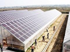 专业的光伏大棚 太阳能光伏农业大棚建造找黑土农科