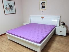供应爆款爱蒲床垫紫罗兰色 乳胶床垫和弹簧床垫