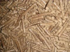 福州提供有品质的木质生物颗粒|上等木质生物颗粒
