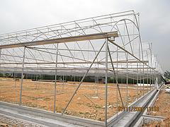 哪里有提供创新型的温室种植大棚 南宁蔬菜种植大棚厂家