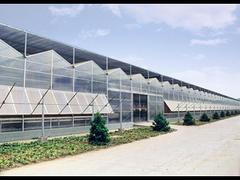 哪里有提供创新型的广西玻璃大棚：柳州玻璃温室大棚