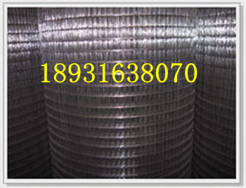 不锈钢电焊网/家禽用1/4不锈钢电焊网/安平不锈钢电焊网厂家