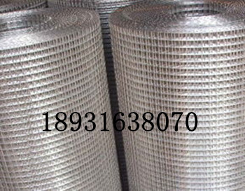 不锈钢电焊网/3/8不锈钢电焊网/安平不锈钢电焊网厂家批发
