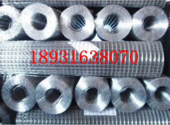 不锈钢电焊网/1/4不锈钢电焊网的特点/不锈钢电焊网厂家批发
