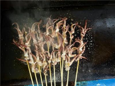 滨州烧烤鱿鱼技术学习，可靠的烧烤鱿鱼技术加盟哪里有