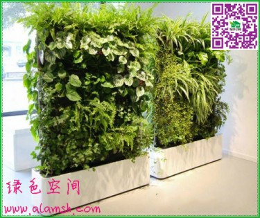 室内移动植物墙制造公司