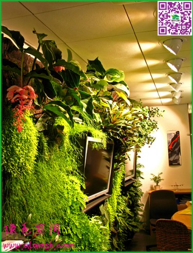 立体固定植物墙有什么功能