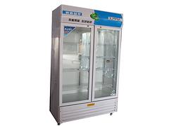 滨州卧式冰柜供应商哪家好，天津卧式冰柜价格