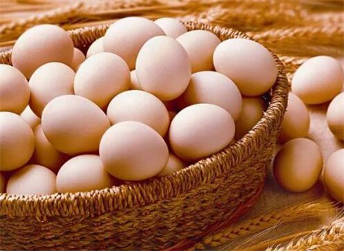 柴鸡蛋养殖厂家|中新农牧