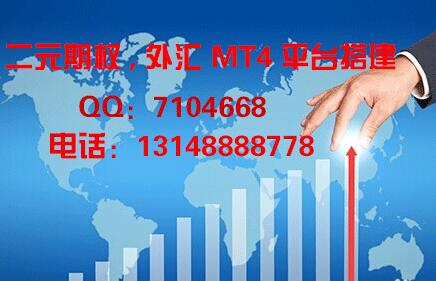mt4搭建模拟交易测试服务器出租mt4搭建模拟交易测试服务器出租