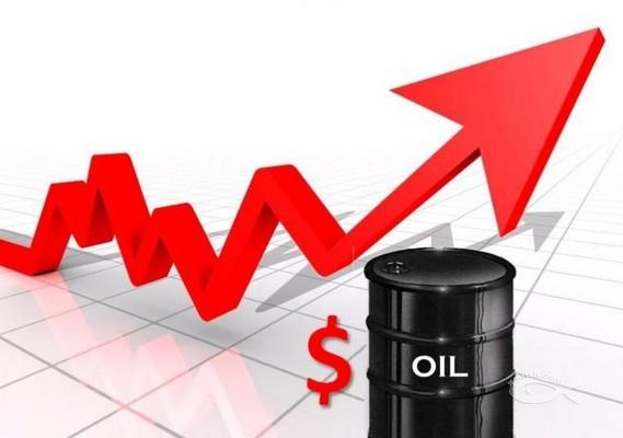 信誉好的原油投资·您的首要选择，资深的原油投资
