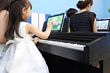 中国艾范儿钢琴教室：sqyz的艾范儿钢琴教室就是猫咪琴行