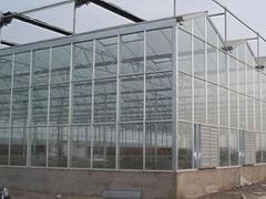 玻璃温室大棚建造专业公司：中国温室大棚