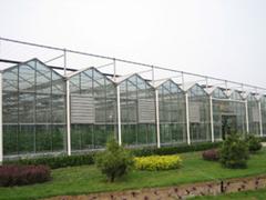 连栋温室大棚建设：北方园艺温室专业提供日光温室大棚建设