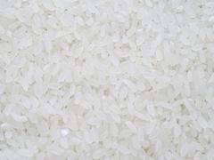 哪儿有好吃的大米批发市场——大米加工