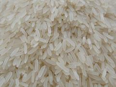山东价格实惠的鱼台大米——大米厂家