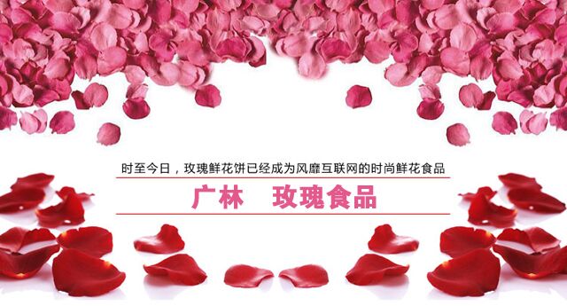 月薪过万邀您赴任项目副总-湖南广林玫瑰项目创业加盟
