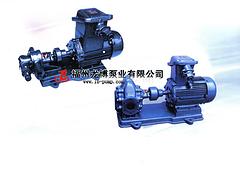齿轮油泵供应厂家 龙博泵业公司齿轮输油泵信息