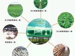 信誉好的蔬菜农副产品粮油配送上哪找_广州农副产品配送