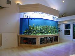 哪儿能买到品质有保证的生态鱼缸，淄博生态鱼缸