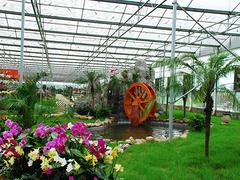 花卉大棚哪家有——供应优质的花卉温室大棚建造上哪找