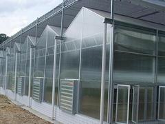 潍坊可信赖的阳光板温室建造——阳光板温室建造