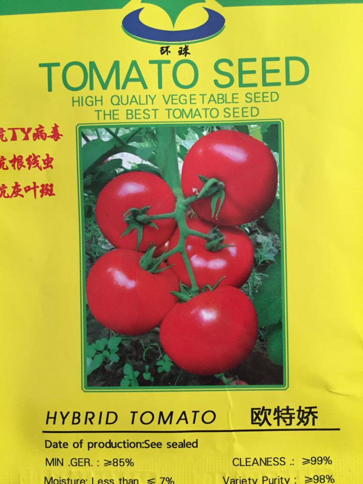 番茄种子 欧特娇番种子  番茄种子价格---绿兴种苗 山东省