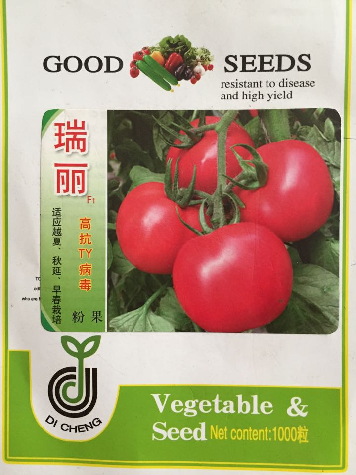 番茄种子 瑞丽番茄种子  番茄种子价格---绿兴种苗