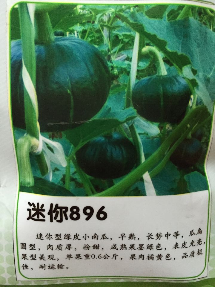 线椒种子 黑线王线椒种子   线椒种子价格---绿兴种苗