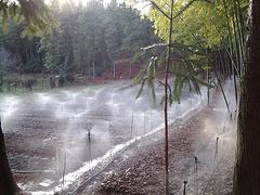 哪里有提供好的灌溉设备：龙岩灌溉系统