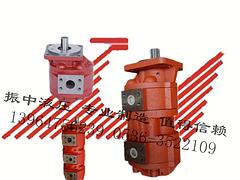 双联齿轮油泵如何选择：专业的CBGJ齿轮油泵供应商_振中液压机械厂