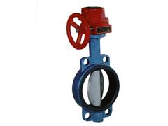 福建优惠的A型消防水泵接合器【供销】|消防水泵接合器生产厂家