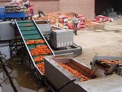 潍坊哪里有价位合理的胡萝卜清洗设备 北京胡萝卜清洗机