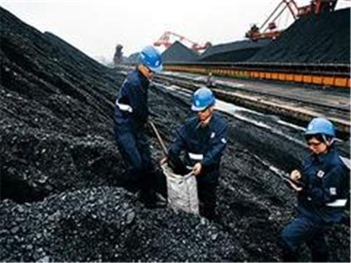 洗精煤代理，物超所值洗精煤是由昊泽商贸提供