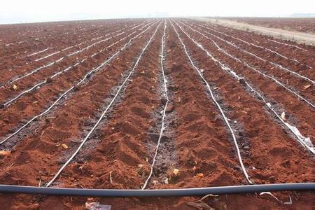 定制农业节水灌溉 信誉好的农业节水灌溉供应商推荐
