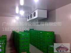 广州酒店厨房冷库安装公司怎么样——建一个厨房冷库