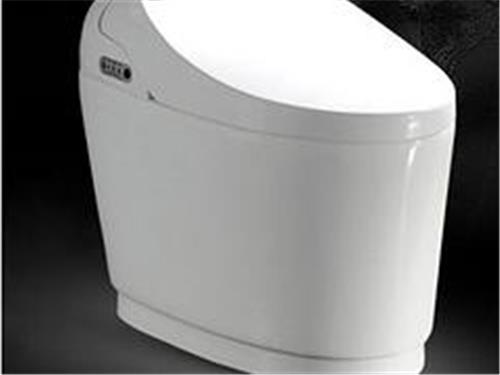 大量供应出售质量好的皇琥卫浴全自动冲水烘干智能座便器_广东卫浴厂家