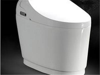 热销皇琥卫浴全自动冲水烘干智能座便器品质保证|进口智能马桶怎么样