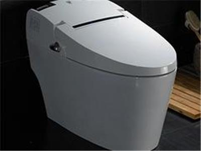 做工精美的皇琥卫浴智能多功能节水坐便器在深圳火热畅销 广东卫浴洁具生产厂家