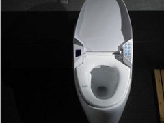 在哪能买到皇琥卫浴多功能节水带遥控坐便器_广东智能坐便器