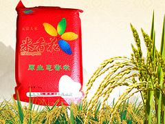 青岛热销的龙江明珠稻花香批售 大米生产厂家